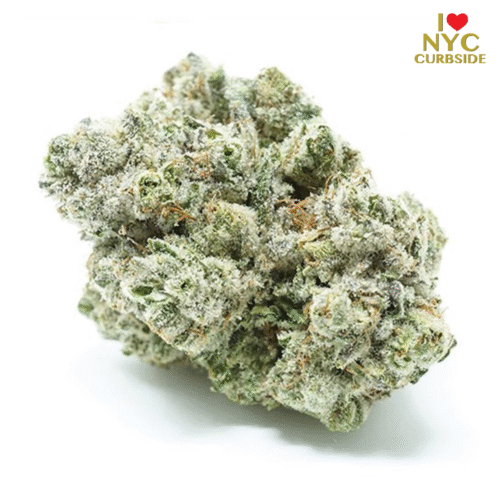 PLATINUM GORILLA GLUE